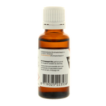 BT'S Sinaasappel olie 25.00 Milliliter