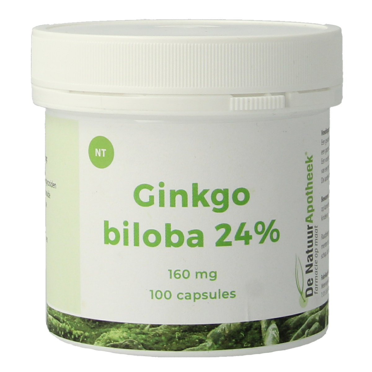 Natuurapotheek Ginkgo biloba 24% 160mg 100.00 Capsules