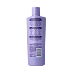 Andrelon Shampoo 2-in-1 400.00 Milliliter