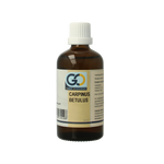 GO Carpinus betulus bio 100.00 Milliliter