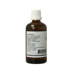 GO Carpinus betulus bio 100.00 Milliliter