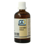 GO Castanea vesca bio 100.00 Milliliter