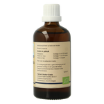GO Castanea vesca bio 100.00 Milliliter