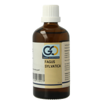 GO Fagus sylvatica bio 100.00 Milliliter
