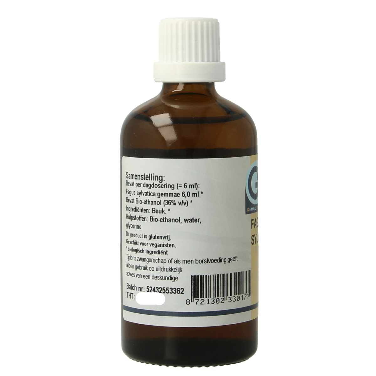 GO Fagus sylvatica bio 100.00 Milliliter