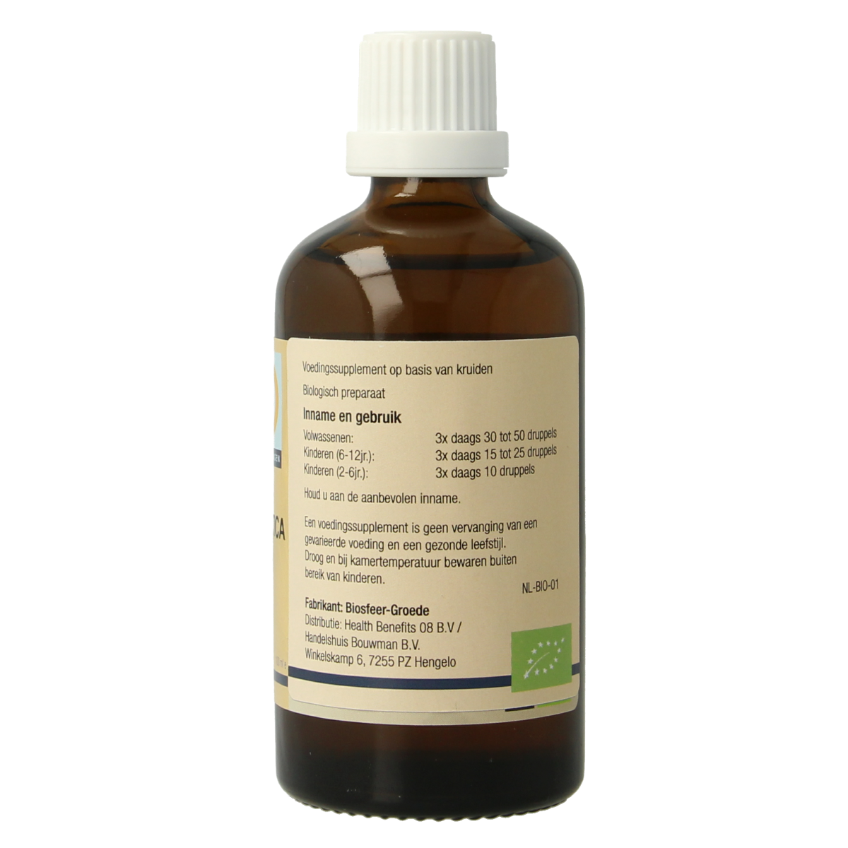 GO Fagus sylvatica bio 100.00 Milliliter