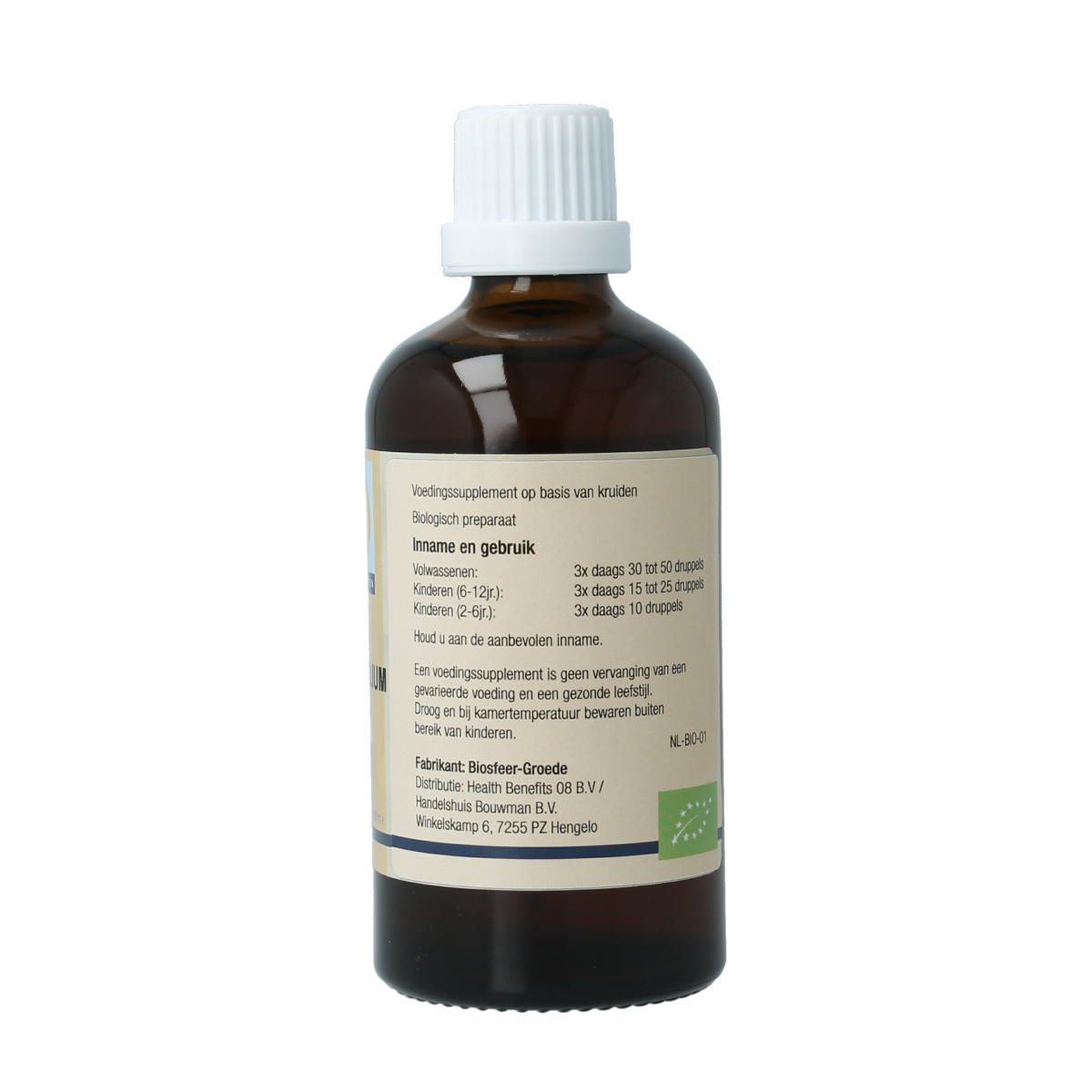 GO Ilex aquifolium 100.00 Milliliter