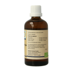 GO Tilia tomentosa bio 100.00 Milliliter