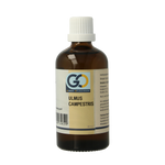 GO Ulmus campestris bio 100.00 Milliliter