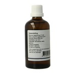 GO Ulmus campestris bio 100.00 Milliliter