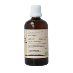 GO Aesculus hippocastanum bio 100.00 Milliliter