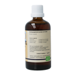 GO Ampelopsis weitchii bio 100.00 Milliliter
