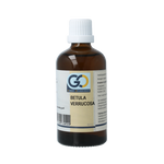 GO Betula verrucosa bio 100 Milliliter
