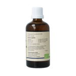 GO Betula verrucosa bio 100 Milliliter