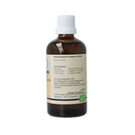GO Quercus pedunculata 100.00 Milliliter