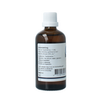 GO Sorbus domestica bio 100.00 Milliliter