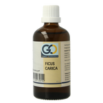 GO Ficus carica bio 100.00 Milliliter