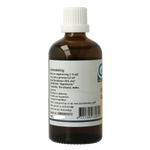 GO Ficus carica bio 100.00 Milliliter