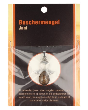 Ruben Robijn Beschermengel juni 1.00 Stuks