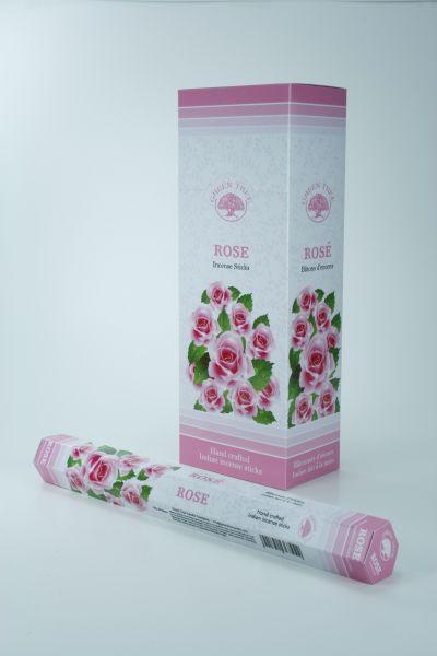Green Tree Wierook rose 20 Stuks
