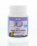 Bach Bloesem Kauwgom nr. 41 concentratie 60.00 Gram