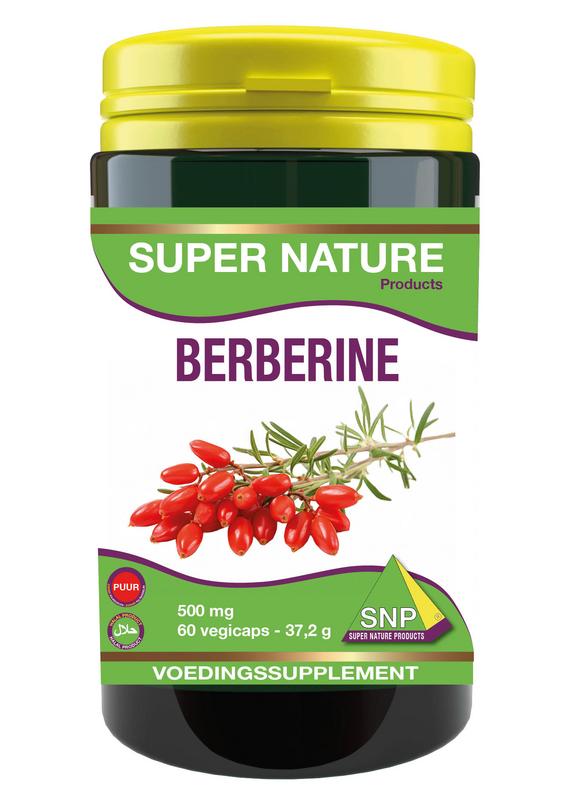 SNP Berberine 500mg puur 60.00 Vegetarische capsules