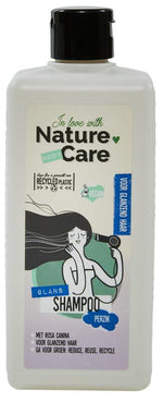 Nature Care Glans shampoo 500.00 Milliliter