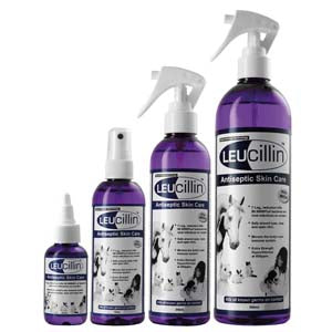 Leucillin Dropper 50.00 Milliliter