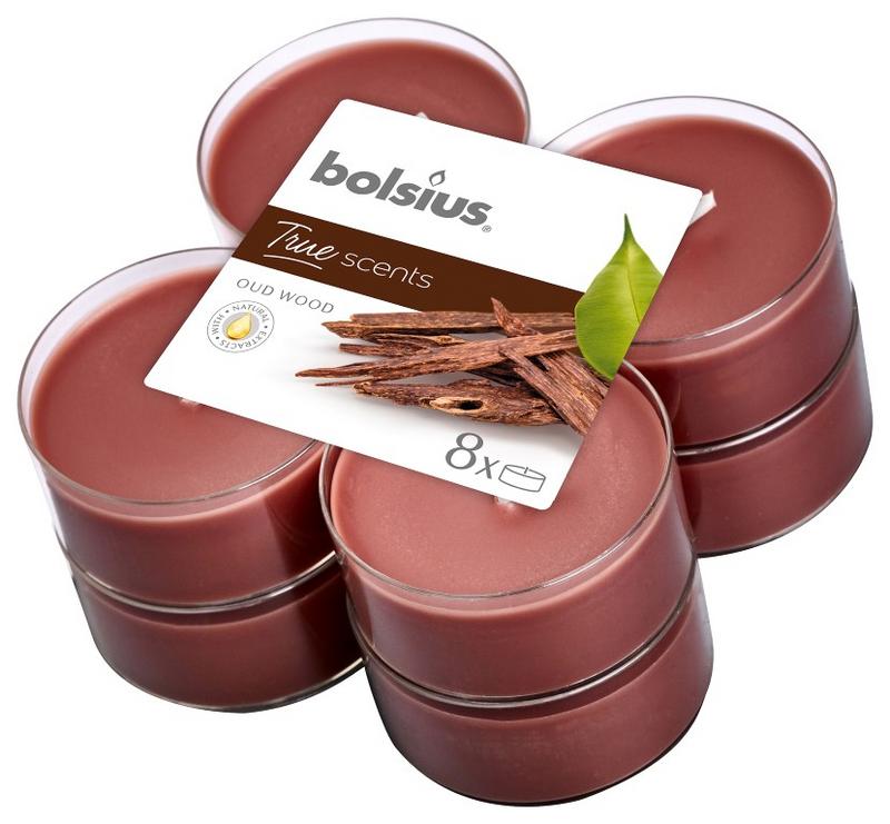 Bolsius True Scents maxilicht old wood 8.00 Stuks