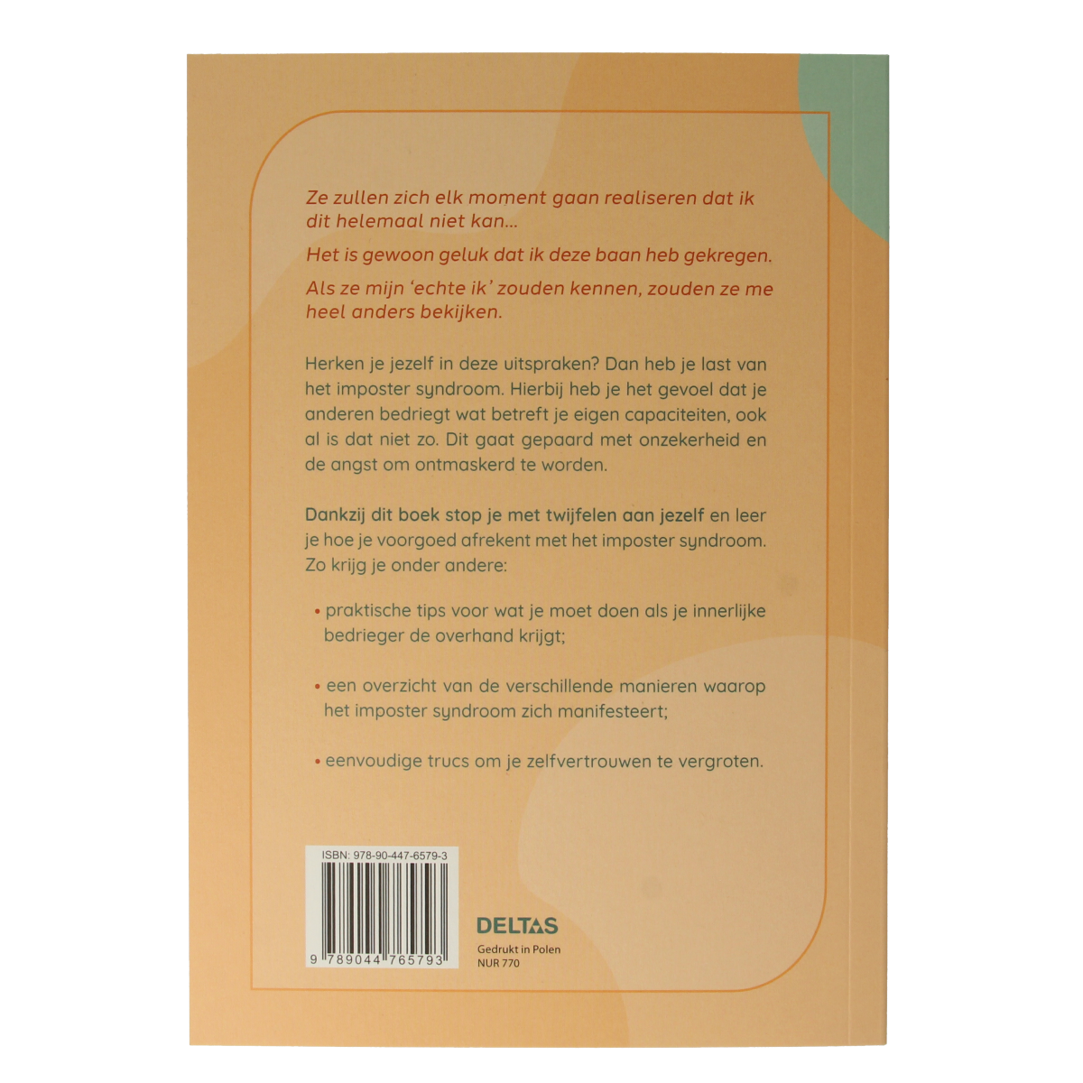 Deltas Overwin imposter syndroom 1.00 Boek