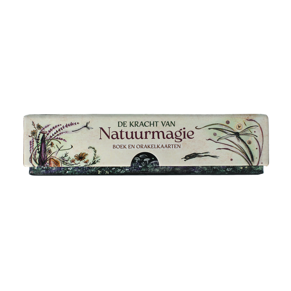 Deltas De kracht van natuurmagie boek en kaarten 1.00 Set