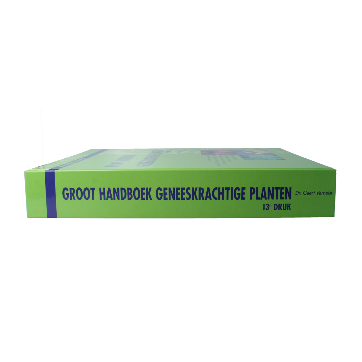 Chi Geneeskrachtige planten handboek 1.00 Boek