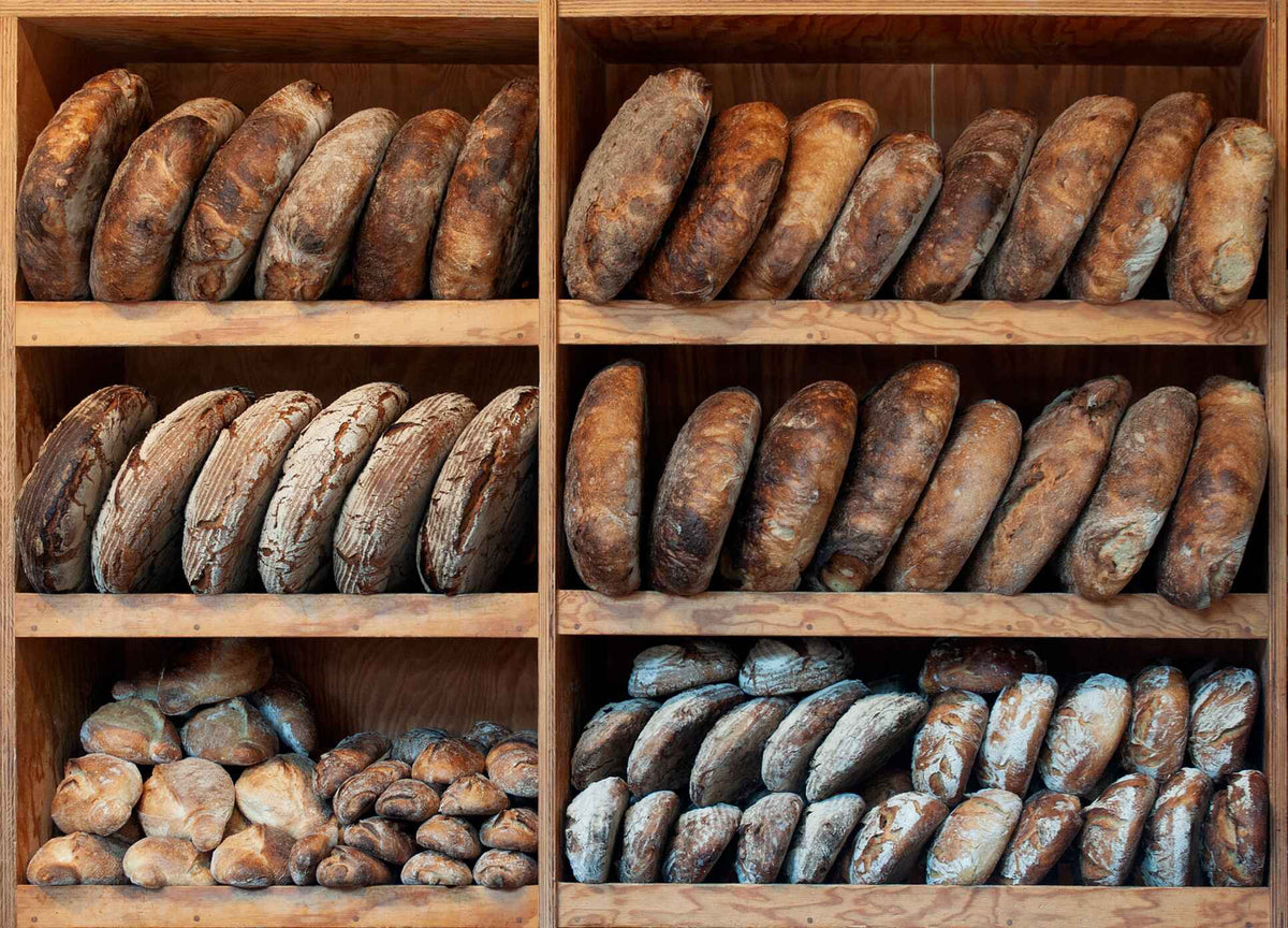Brood