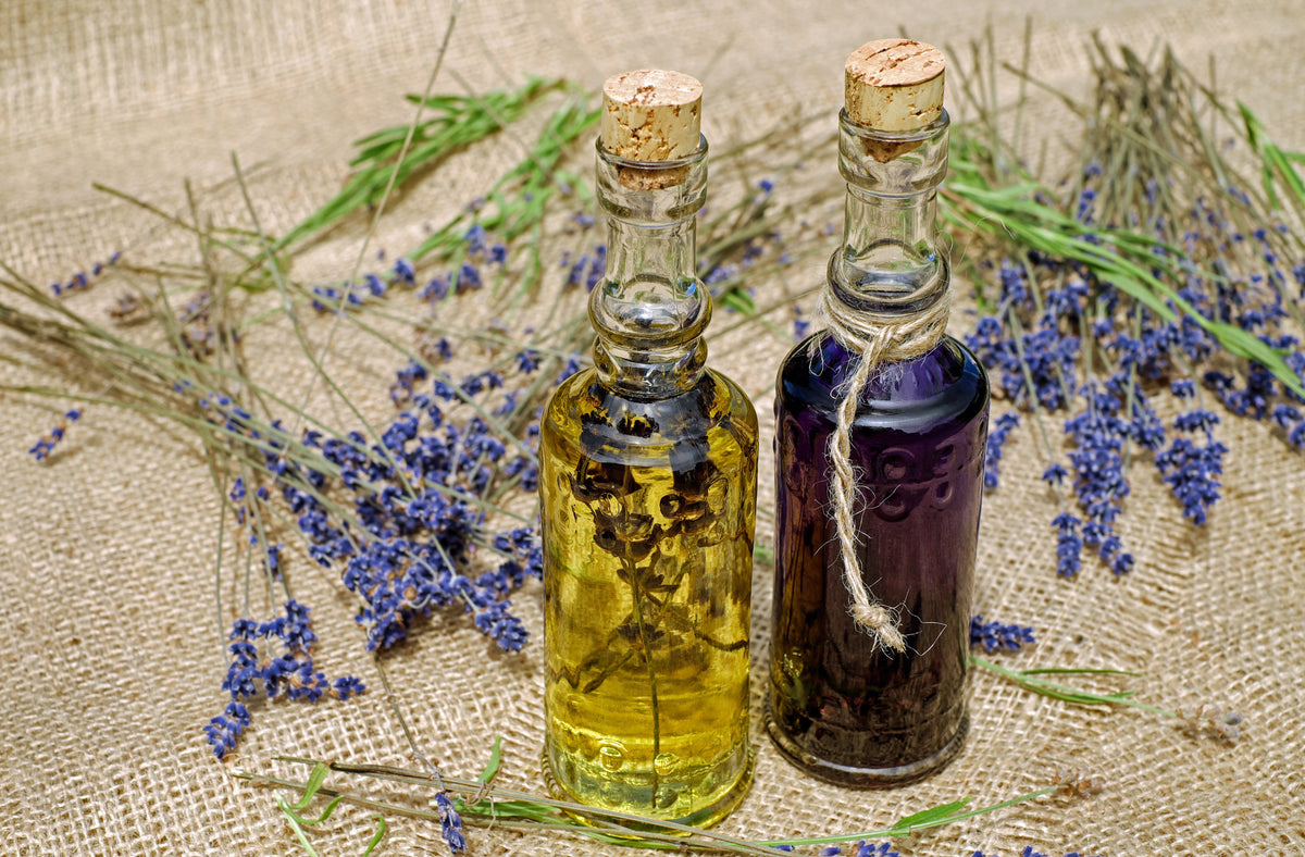 Lavendel